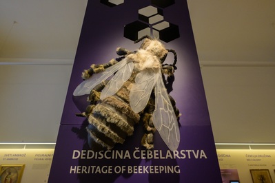 photos of Slovenia - Beekeeping Museum / Čebelarski Muzej