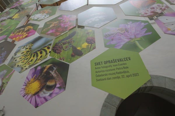 Beekeeping Museum / Čebelarski Muzej Radovljica