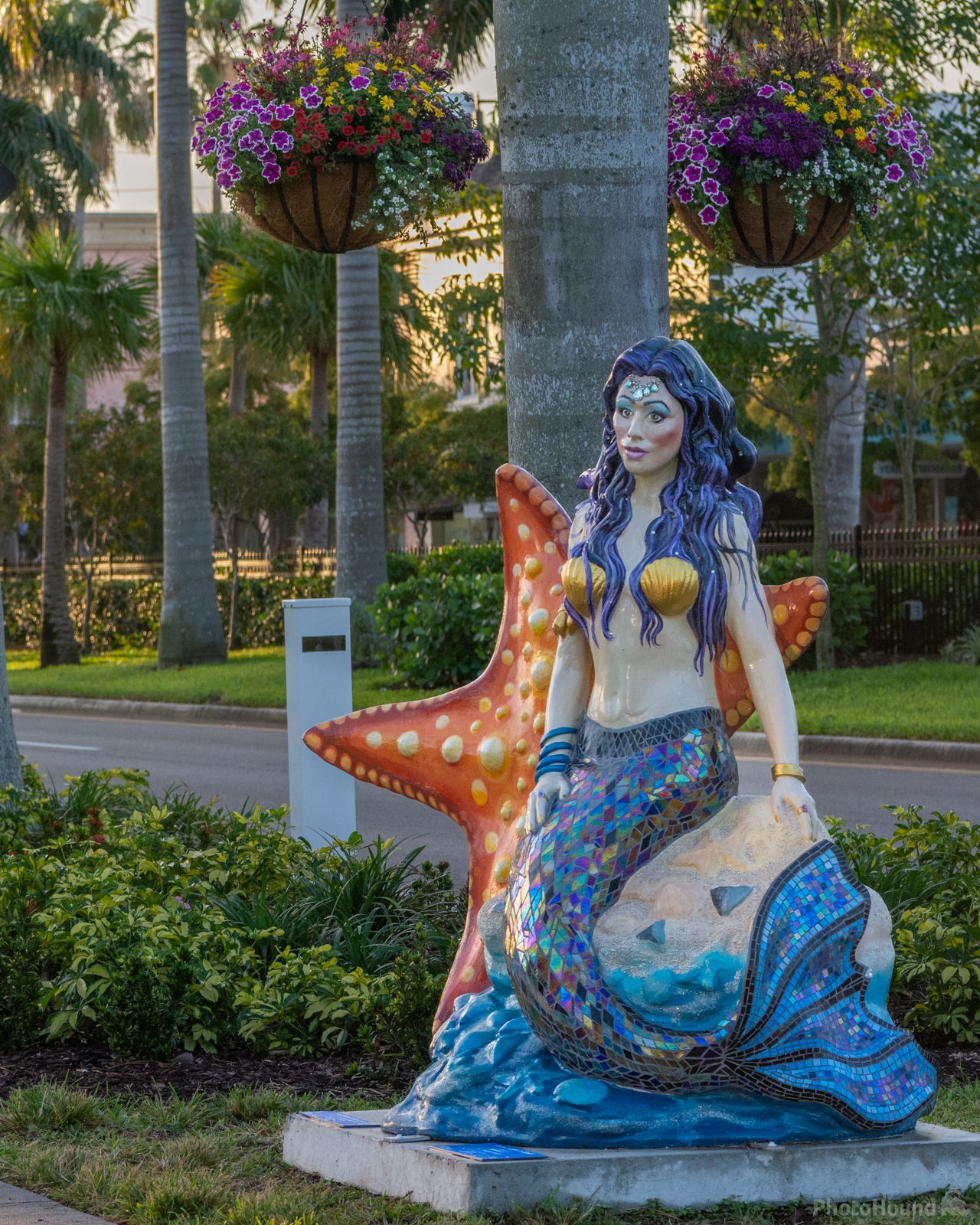 Image of West Venice Ave, Venice, Florida by Wayne Foote