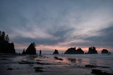 images of Olympic National Park - Point of the Arches 
