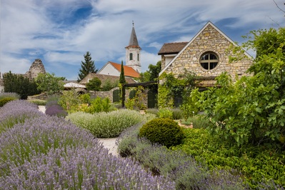 Photo of Lavender Farm in Dörgicse - Lavender Farm in Dörgicse