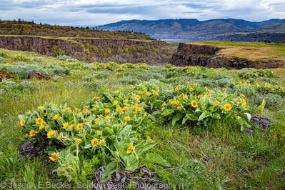 photography spots in Oregon - Tom McCall Preserve - Plateau Trail
