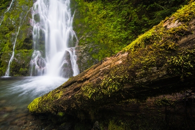 pictures of Olympic National Park - Madison Falls