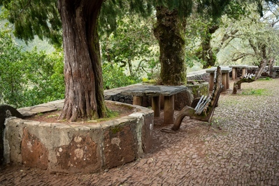 Madeira photo spots - Wooden seats by the Rabaçal Nature Spot cafe