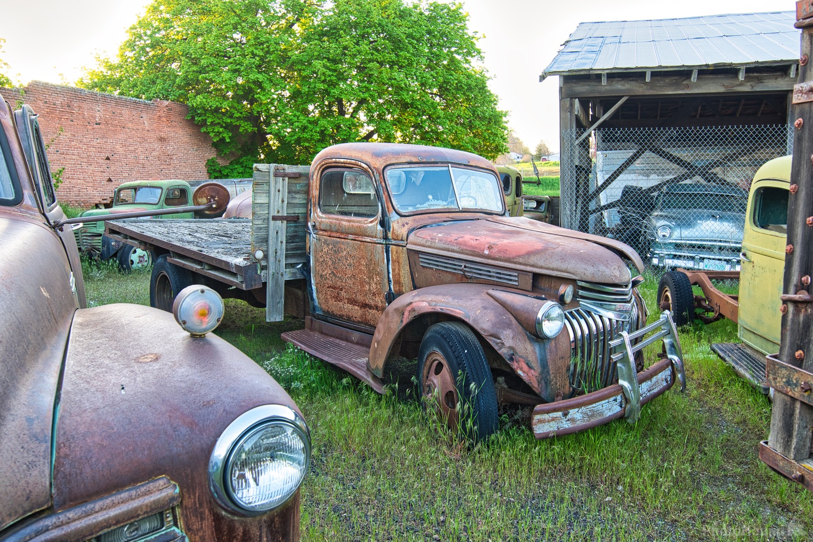 Image of Dave\'s Old Trucks by Steve West