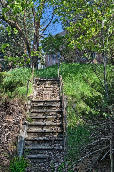 These are the eery-looking steps leading up to the old St Ignatius Hospital.