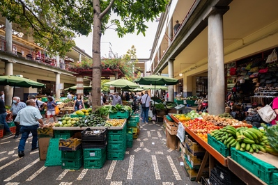Portugal photos - Mercado dos Lavradores (market)