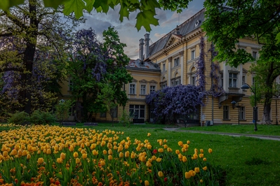 Sofia City Province instagram locations - Kings Palace
