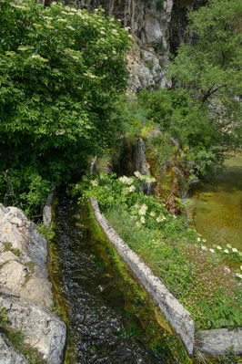 Duman - Spring of Bistrica river