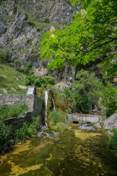 Duman - Spring of Bistrica river