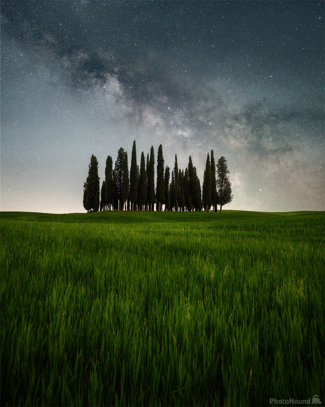 Image of Cypress grove by San Quirico d\'Orcia by Diego Lancini