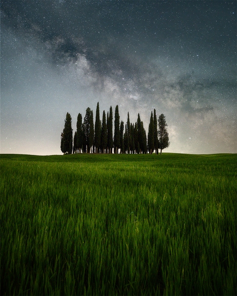The famous San Quirico cypress trees under the Milkyway