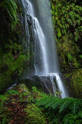 images of Madeira - Levada do Caldeirão Verde