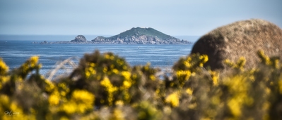 Picture of Dragons Head, Natural reserve, Granite Coast - Dragons Head, Natural reserve, Granite Coast