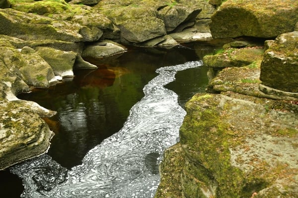 The calm water of the River Wharfe immediately after the turmoil of The Strid. The many air bubbles meander on making fascinating paterns on the surface.