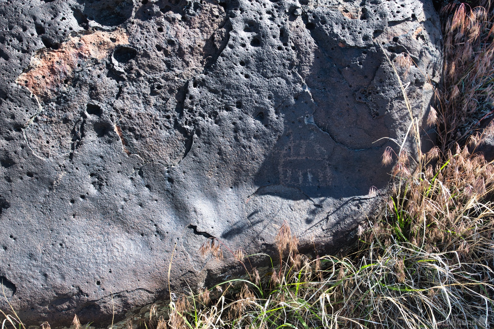 Image of Celebration Park Petroglyphs by Steve West
