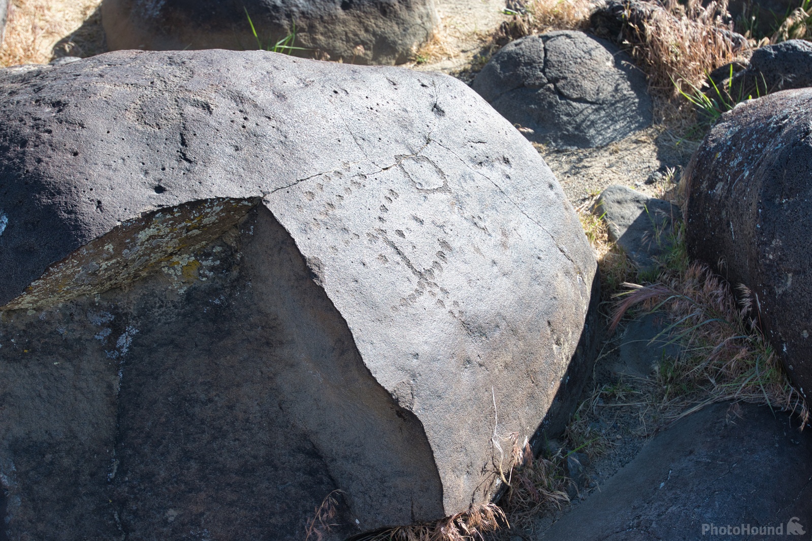 Image of Celebration Park Petroglyphs by Steve West