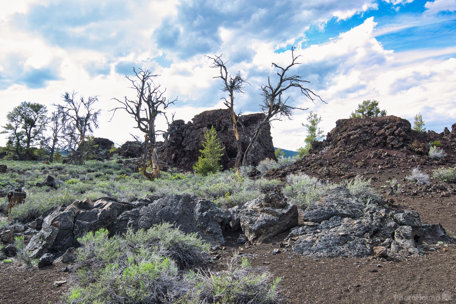 Image of Craters of the Moon by Steve West