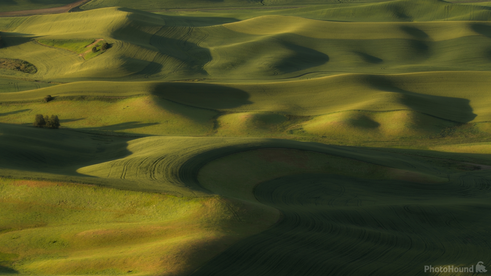 Image of Steptoe Butte Picnic Area by Shawn Swanson