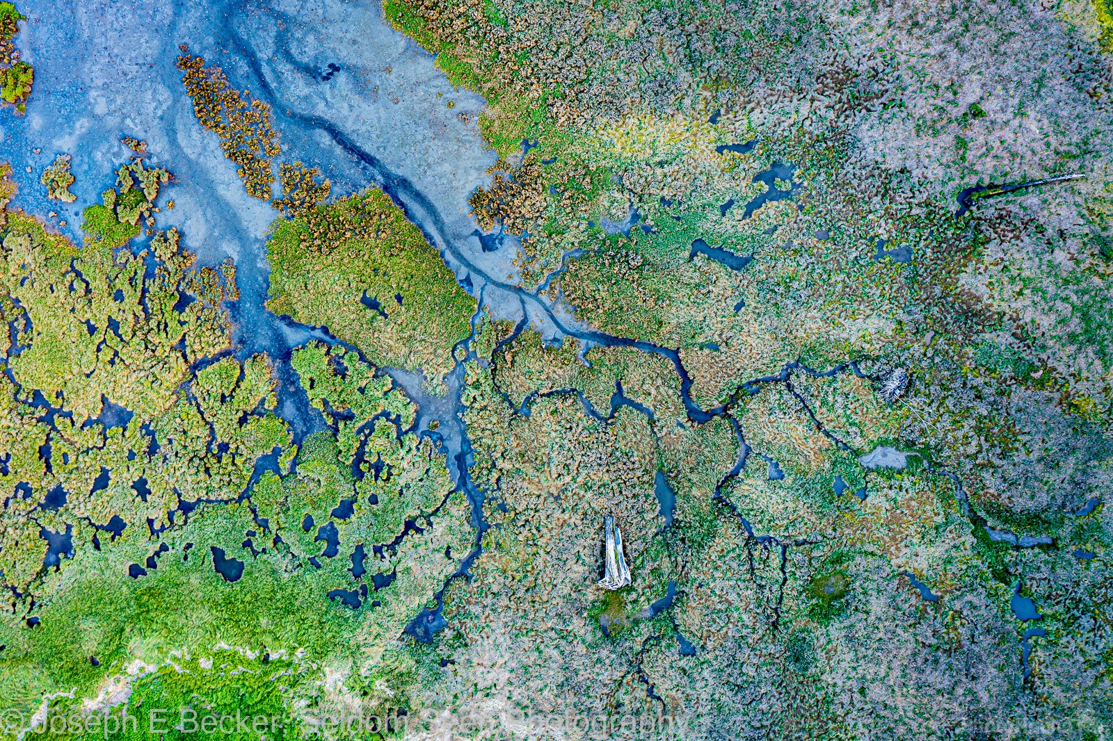 Image of Duckabush River Delta by Joe Becker