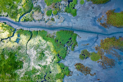 Image of Duckabush River Delta - Duckabush River Delta