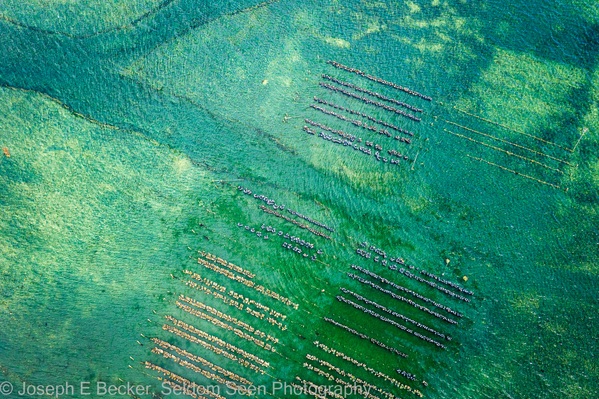 This image shows some of the commercial oyster beds in the waters of Hood Canal.