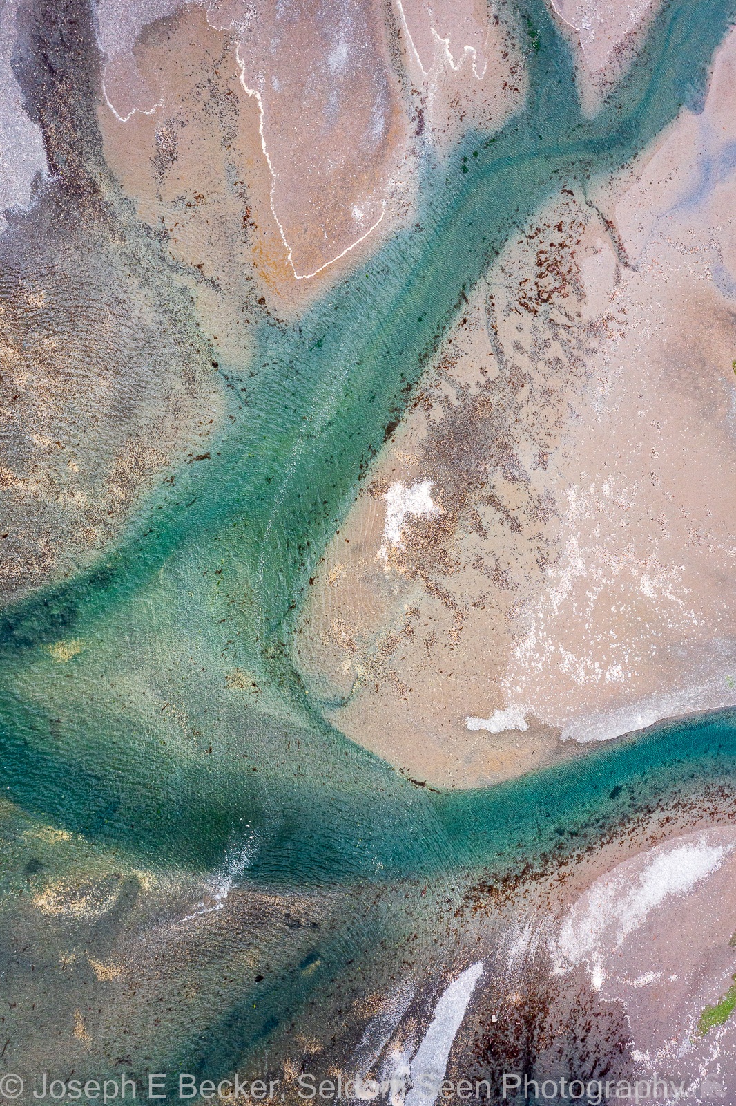 Image of Hamma Hamma River Delta by Joe Becker