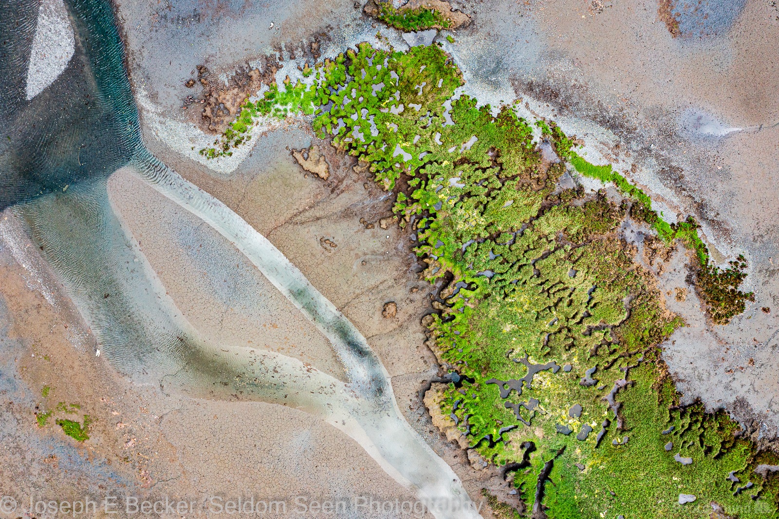 Image of Hamma Hamma River Delta by Joe Becker