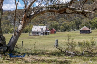 New South Wales instagram spots - Cooleman Hut