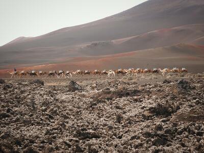 pictures of Canary Islands - Timanfaya National Park