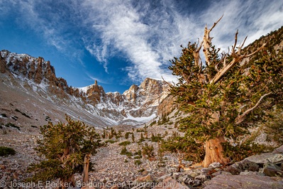 Nevada instagram spots - Wheeler Peak Bristlecone Pine Grove