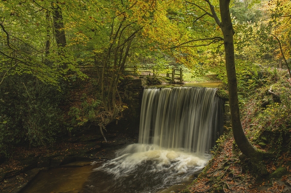 Autumn shot from Nant Mill and Plas Power Woodlands