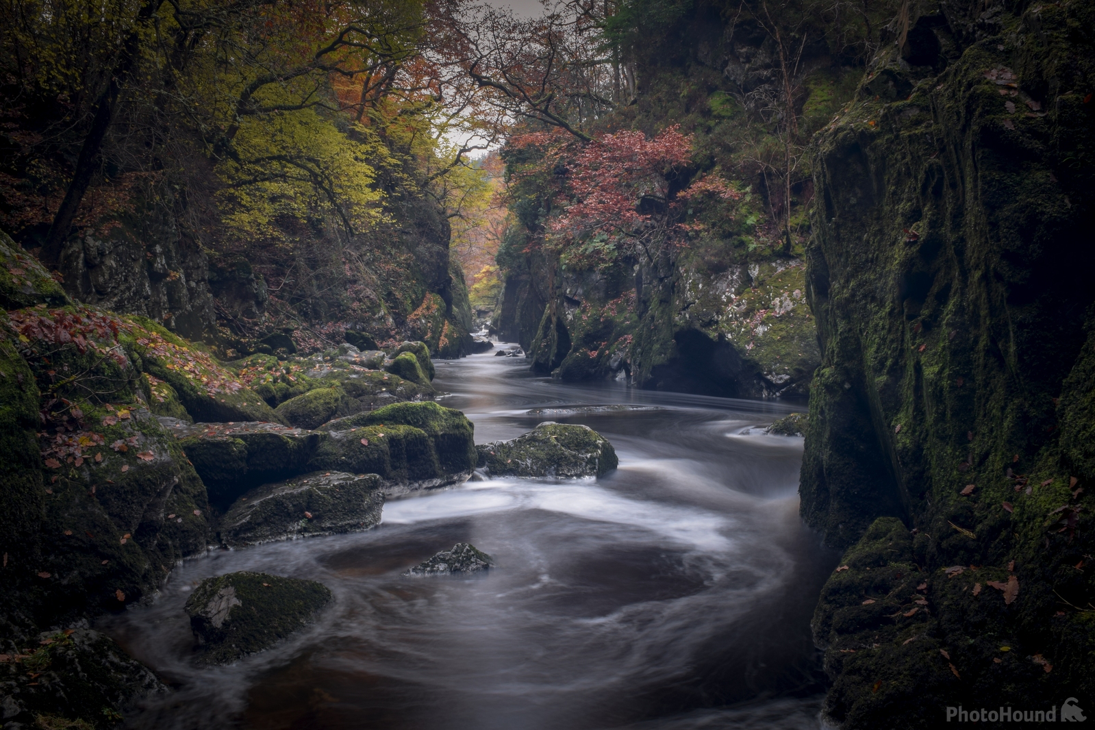 Image of Fairy Glen by Adrian Wright