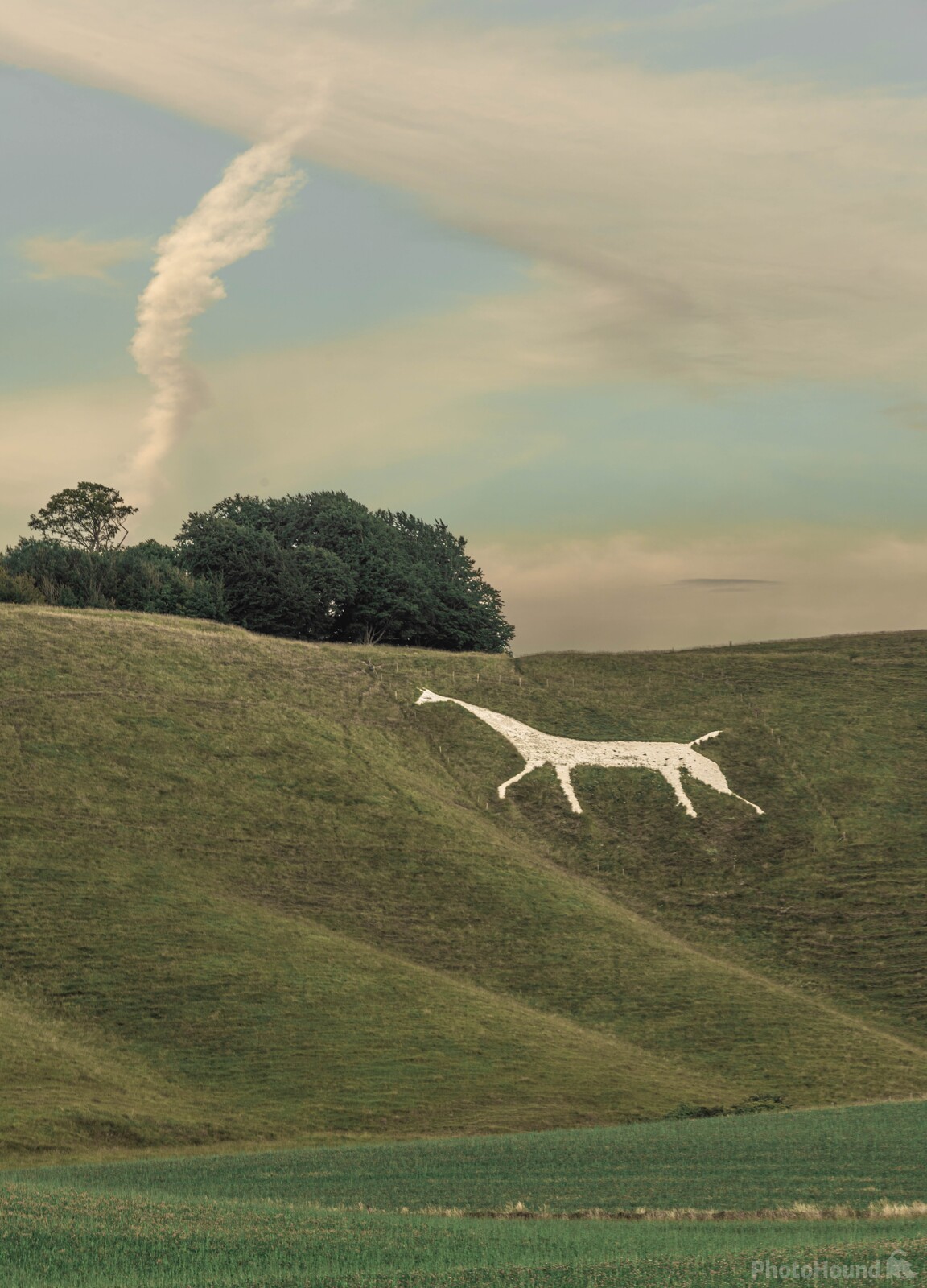 Image of Cherhill White Horse by michael bennett