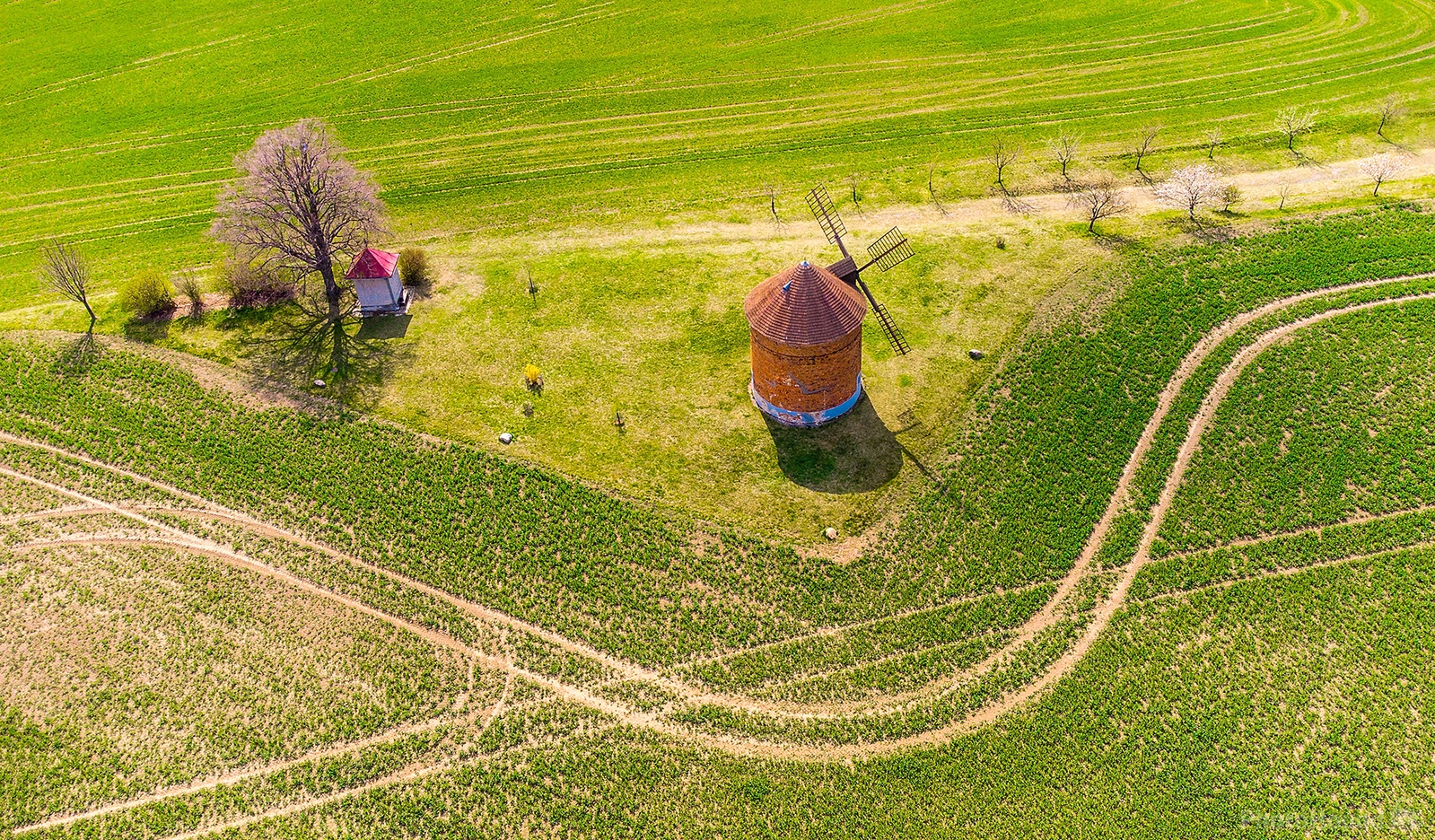 Image of Chvalkovice windmill by Simon Kovacic