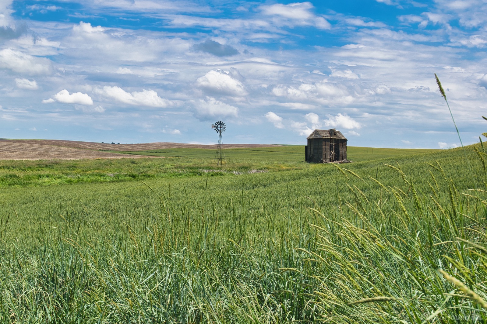 Image of Grant County Barn and Windmill by Steve West