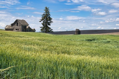 Photo of Grant County Barn and Windmill - Grant County Barn and Windmill