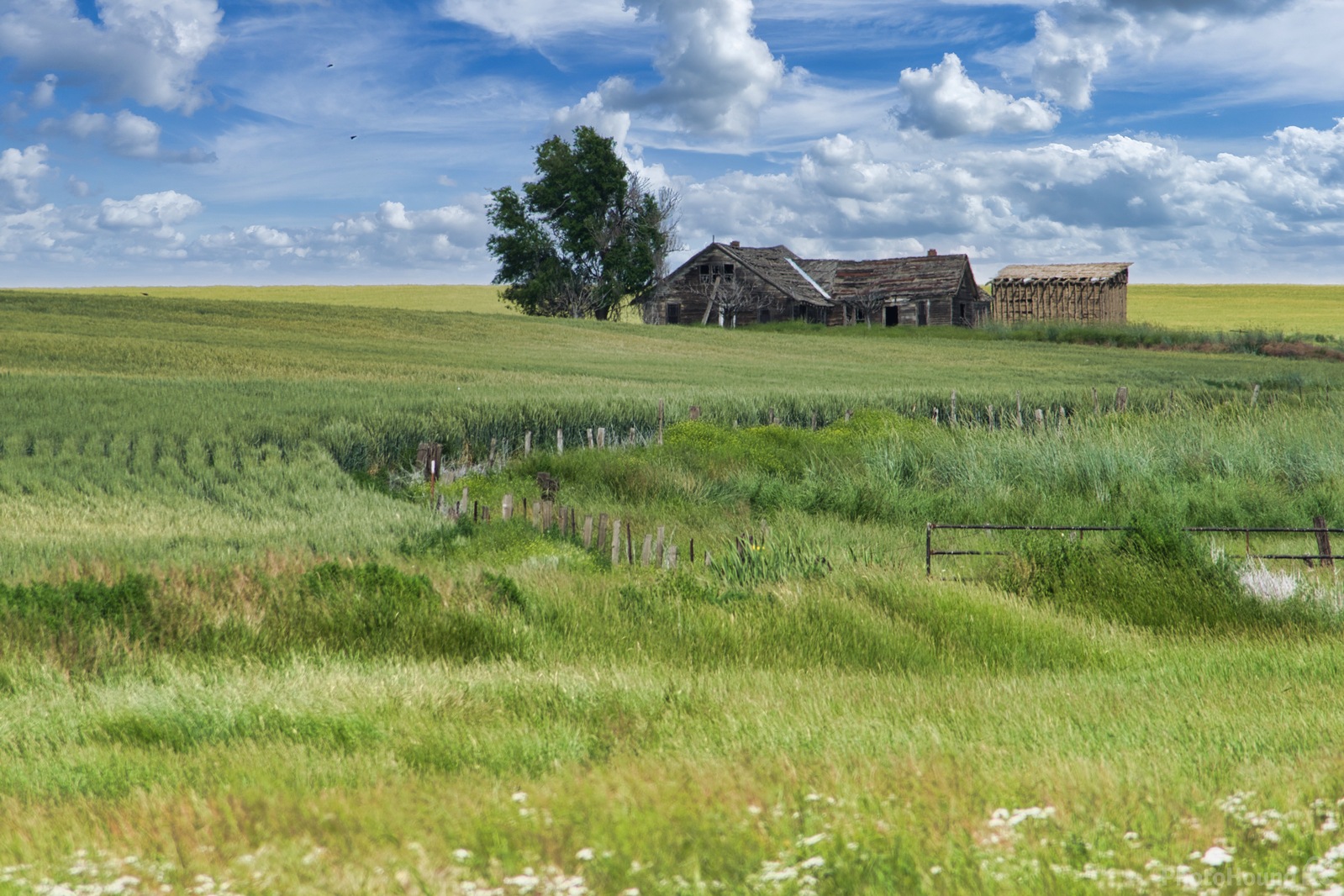 Image of Grant County Homestead by Steve West