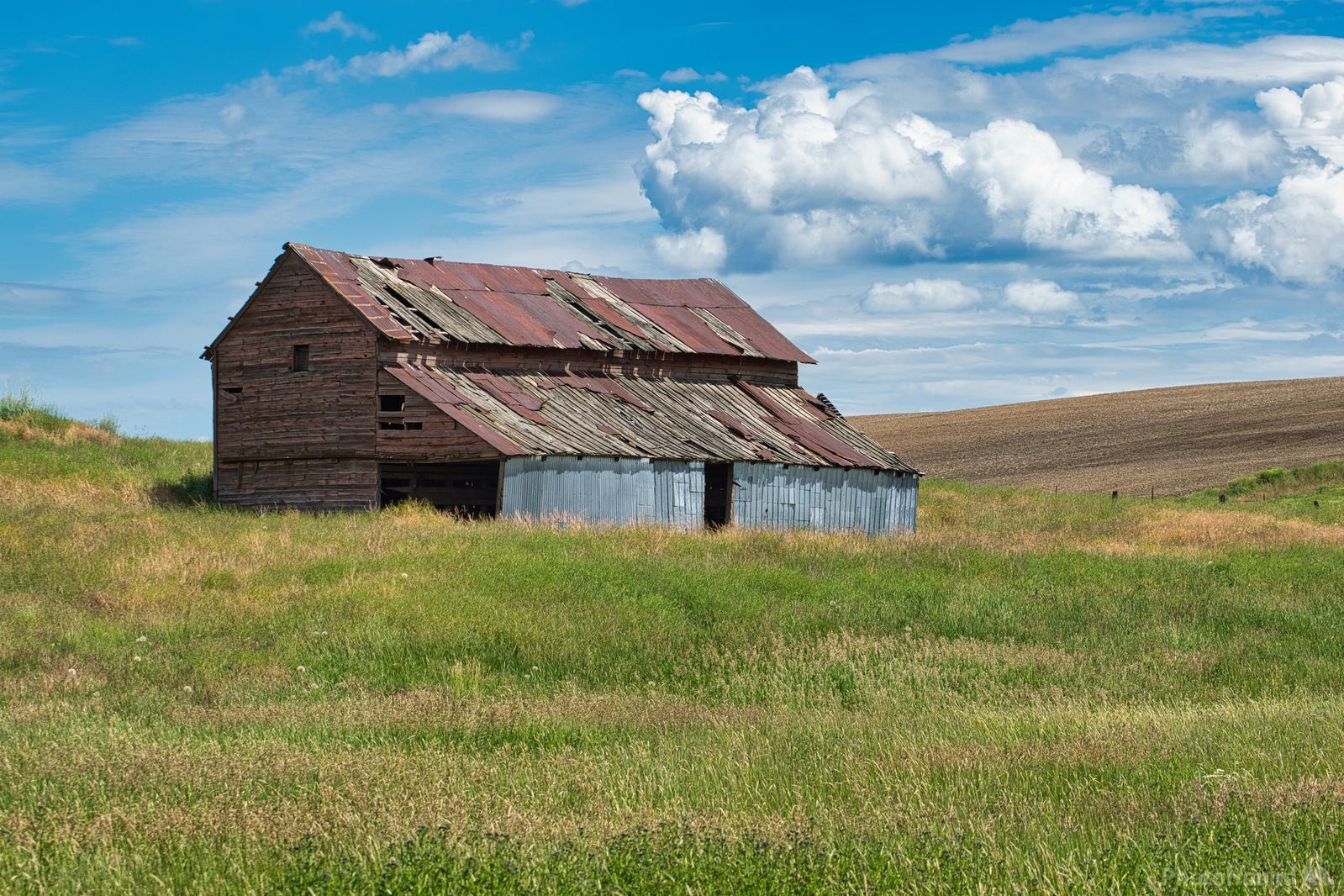 Image of The 1916 Barn by Steve West