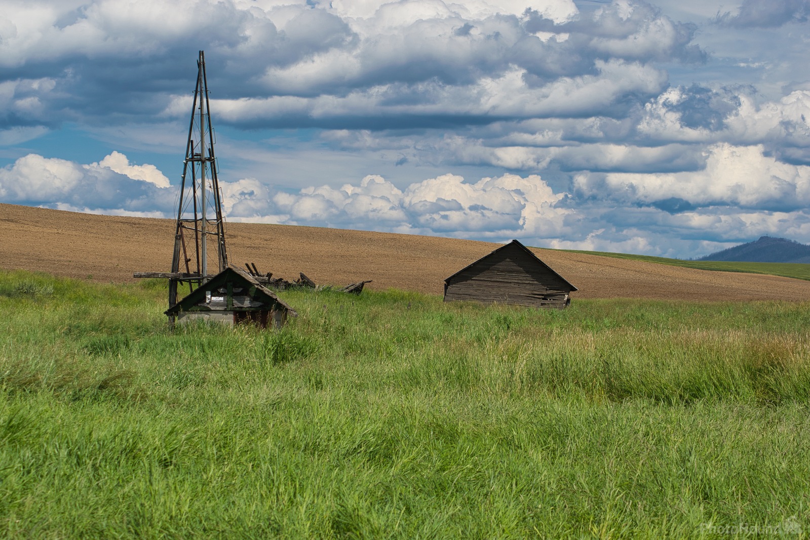 Image of Barn and Windmill Stand by Steve West