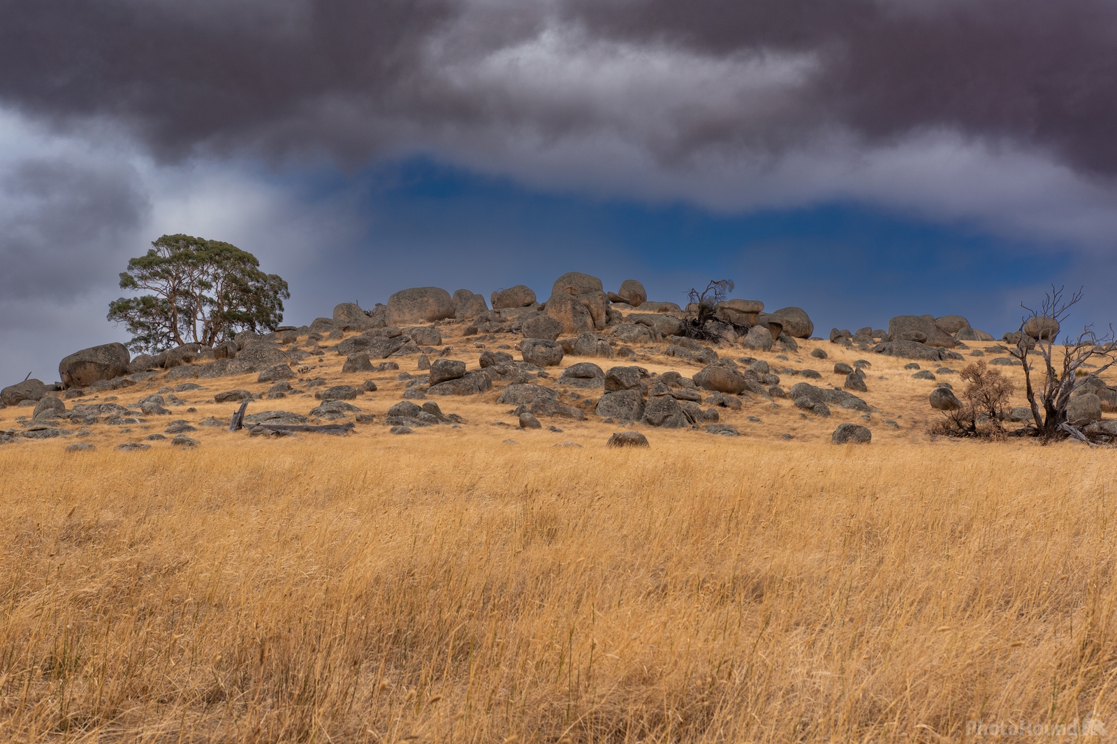 Image of High Camp Road Pyalong  Victoria by Ian Slingsby