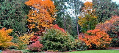 Photo of Washington Park Arboretum - Washington Park Arboretum