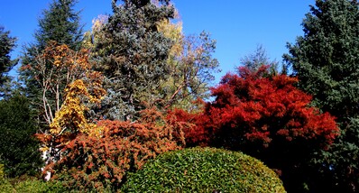 images of Seattle - Kubota Garden
