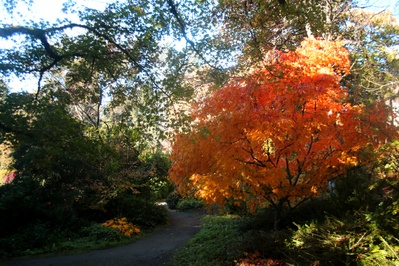 Picture of Kubota Garden - Kubota Garden