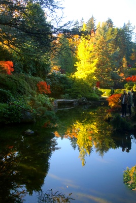 Image of Kubota Garden - Kubota Garden
