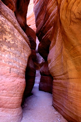 pictures of Zion National Park & Surroundings - Peekaboo Canyon