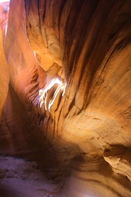 photos of Zion National Park & Surroundings - Peekaboo Canyon
