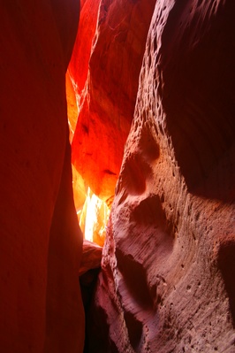 images of Zion National Park & Surroundings - Peekaboo Canyon