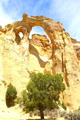 Photo of Grosvenor Arch - Grosvenor Arch