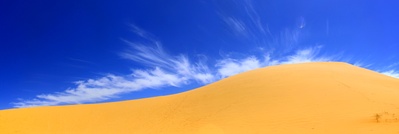 Image of Coral Pink Sand Dunes  - Coral Pink Sand Dunes 